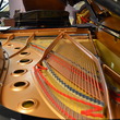 2005 Yamaha C7 conservatory grand, 7'6 - Grand Pianos